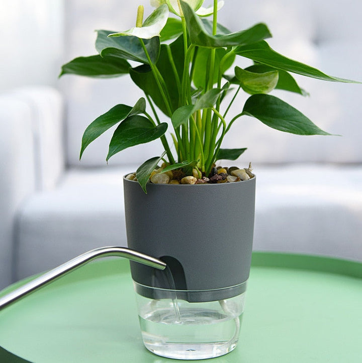 Self-Watering Plant Pot - AquaBloom-Gray-S-Nora Luxe
