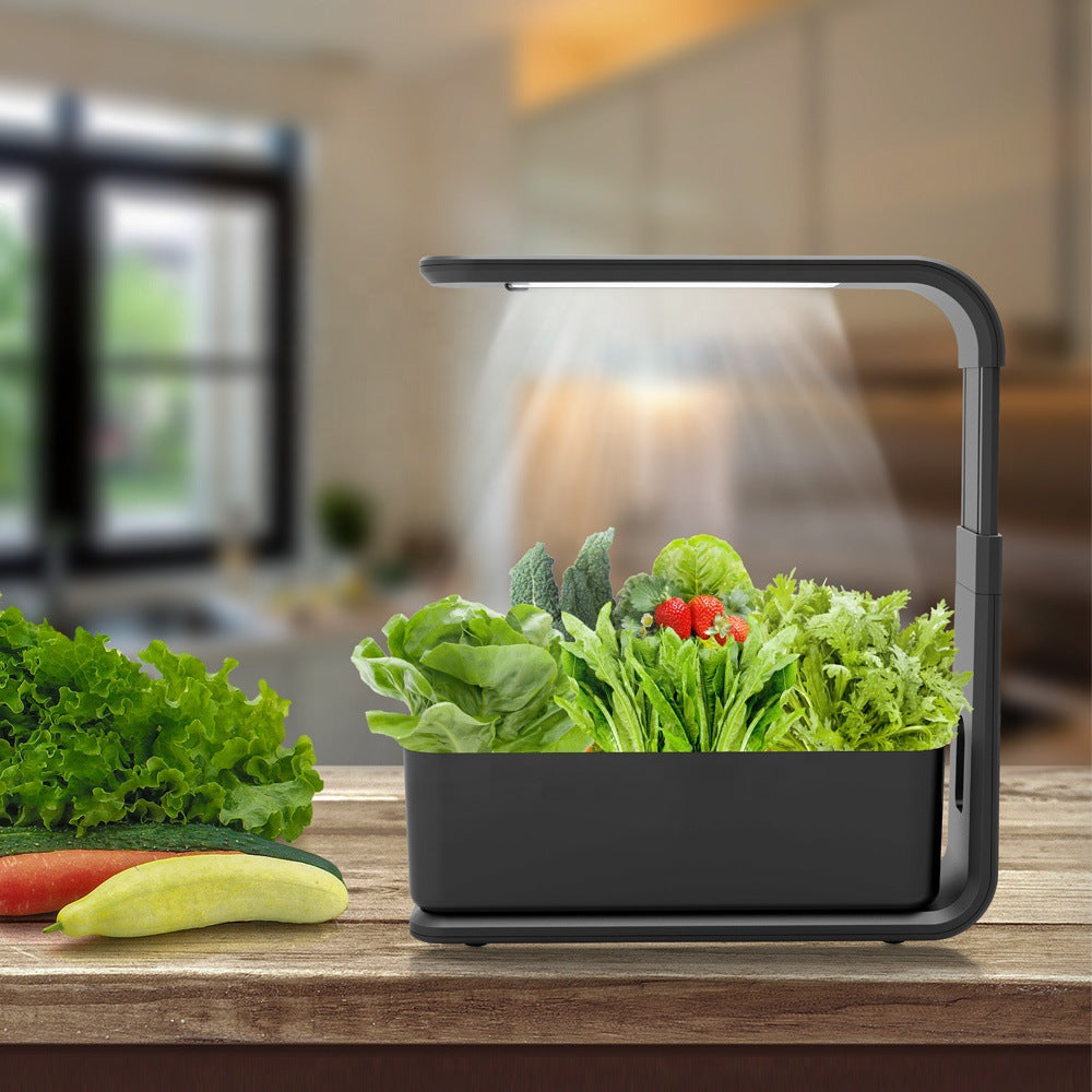 Slim Hydroponic Plant System for Indoors - GreenBloom Hydro-Black-Nora Luxe