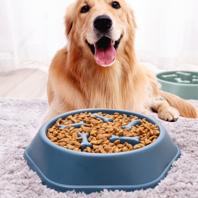 Slow Feeder Bowl - PawMaze™-Blue-Nora Luxe