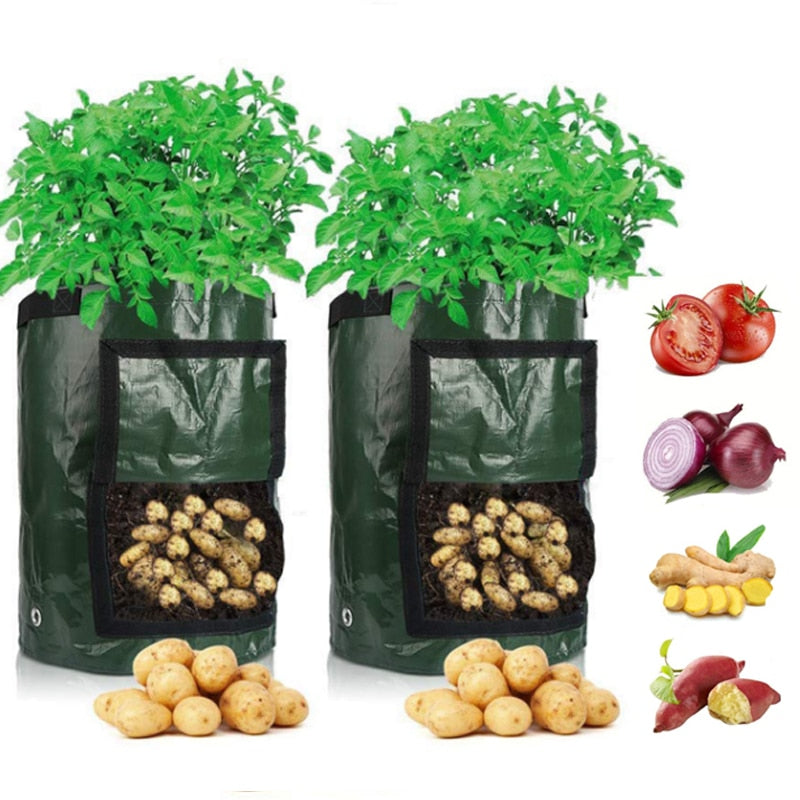 Green plastic potato grow bag with leafy plants and an open flap showing potatoes.