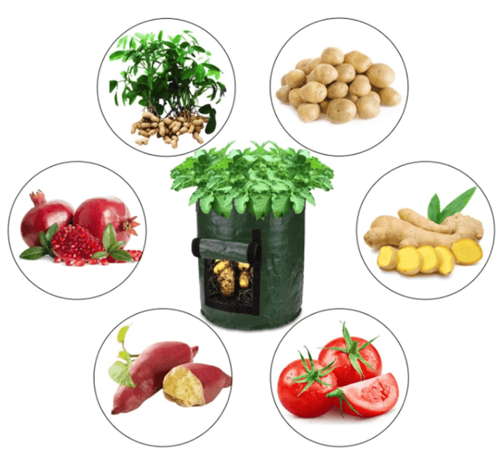 Green grow bag with an open flap showing potatoes and small photos of different crops.