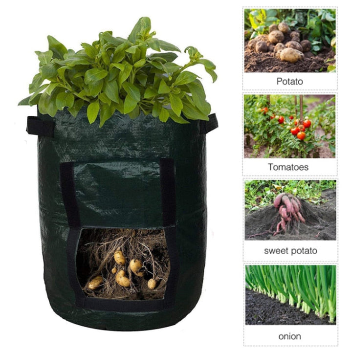 Detail of a dark green grow bag with an open flap showing roots and potatoes.