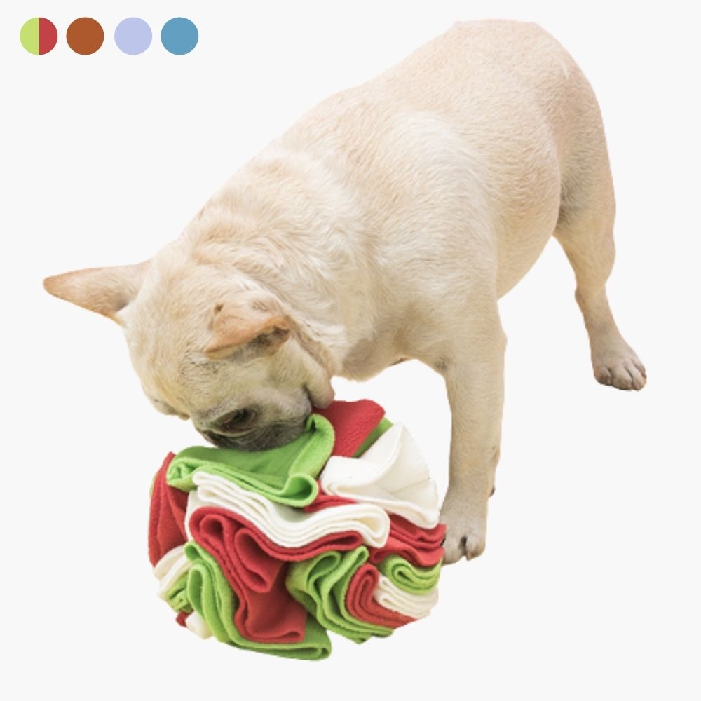 Snuffle Ball for Dogs - PawMaze-Green Red-5.91 inches-Nora Luxe