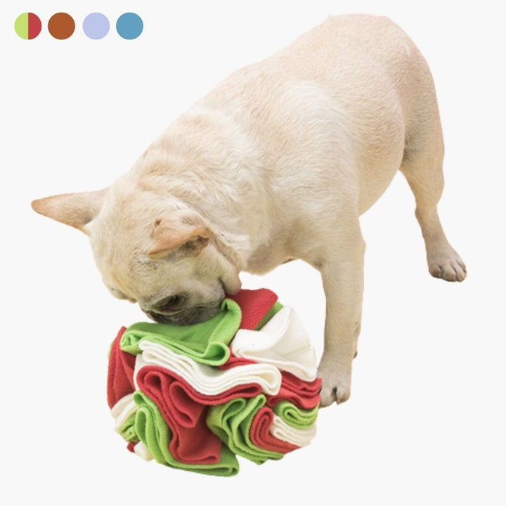 Snuffle Ball for Dogs - PawMaze-Green Red-5.91 inches-Nora Luxe
