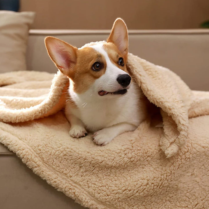 Soft Puppy Blanket - SnuggleFur Fleece-Gray-31.49x39.37inches-Nora Luxe