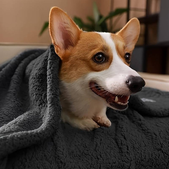 Soft Puppy Blanket - SnuggleFur Fleece-Gray-31.49x39.37inches-Nora Luxe