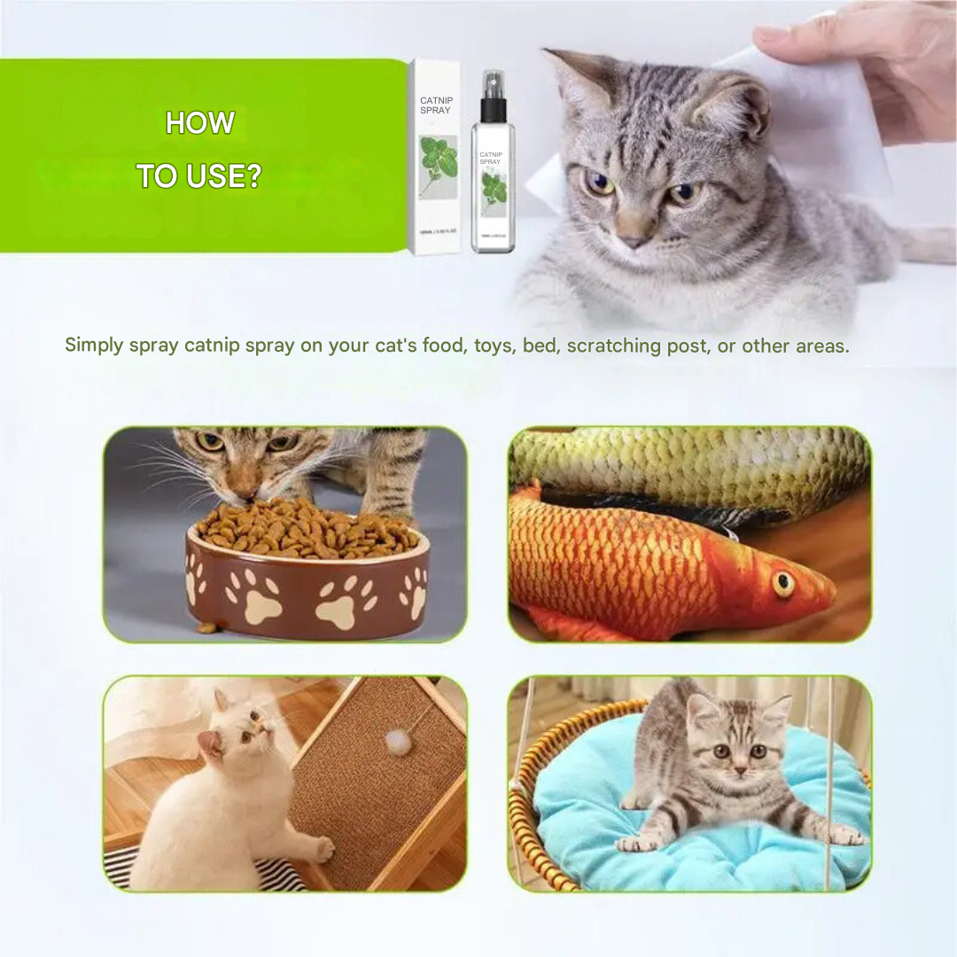 Soothing Cat Spray - SilverVine Bliss Spray-Nora Luxe