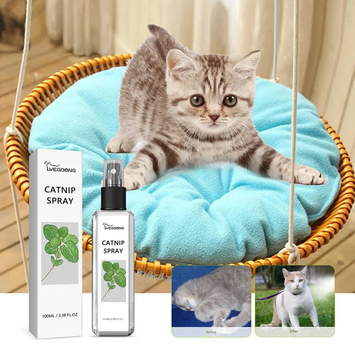 Soothing Cat Spray - SilverVine Bliss Spray-Nora Luxe