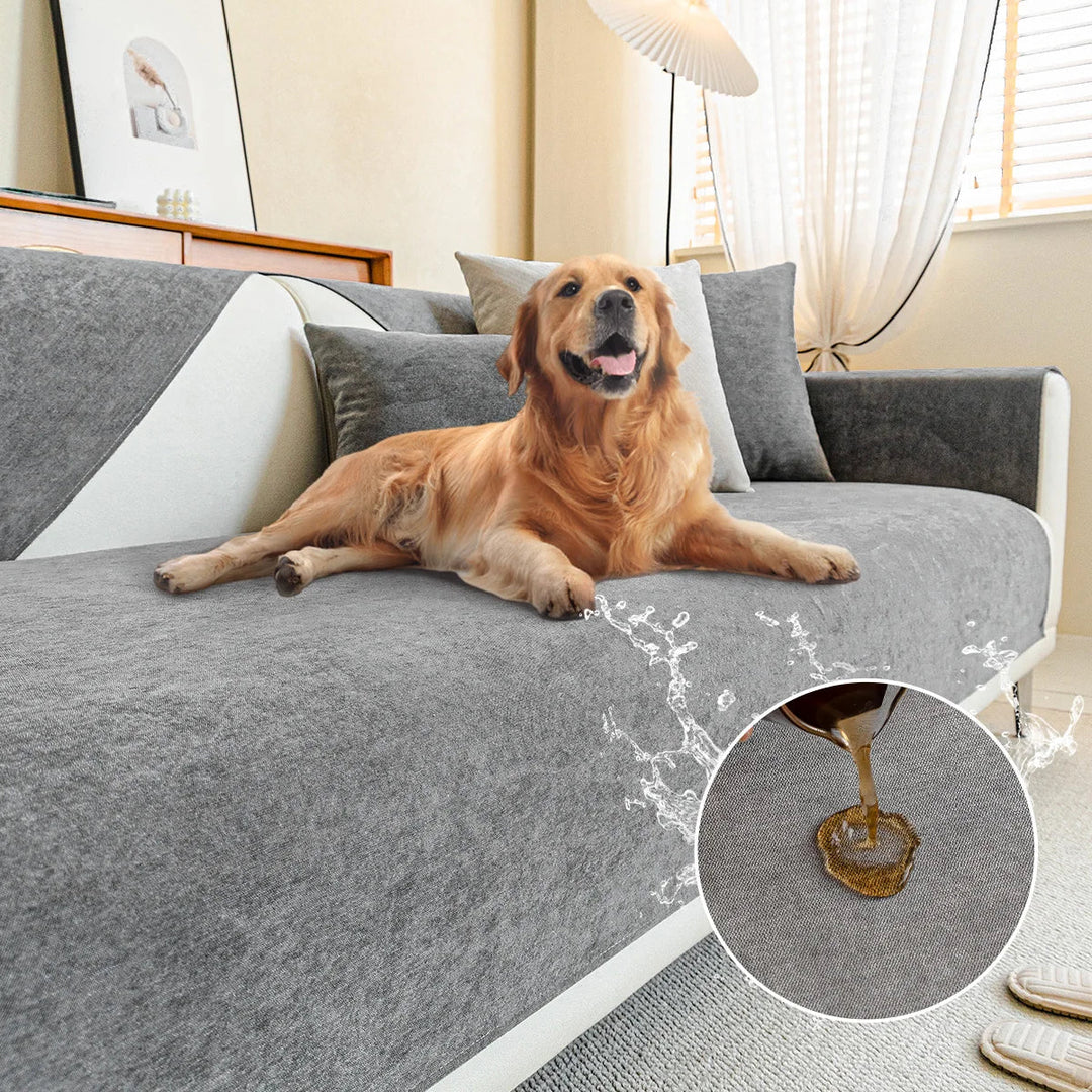 Golden retriever lying on a gray sofa cover, with a circular inset showing liquid beading on the fabric. 9