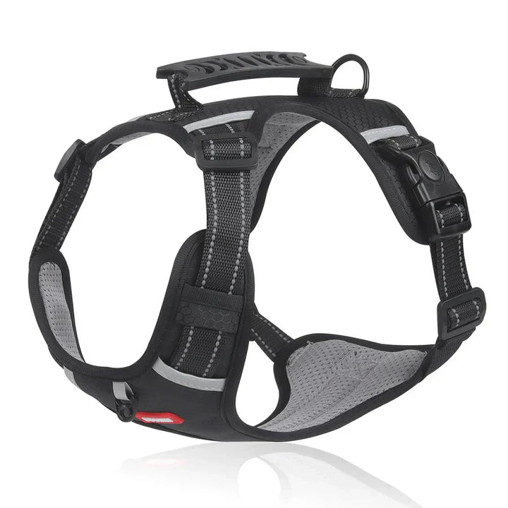 Sturdy & Comfortable Dog Harness - ActivePup™-Black-XS-Nora Luxe