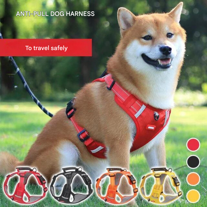 Sturdy & Comfortable Dog Harness - ActivePup™-Red-XS-Nora Luxe