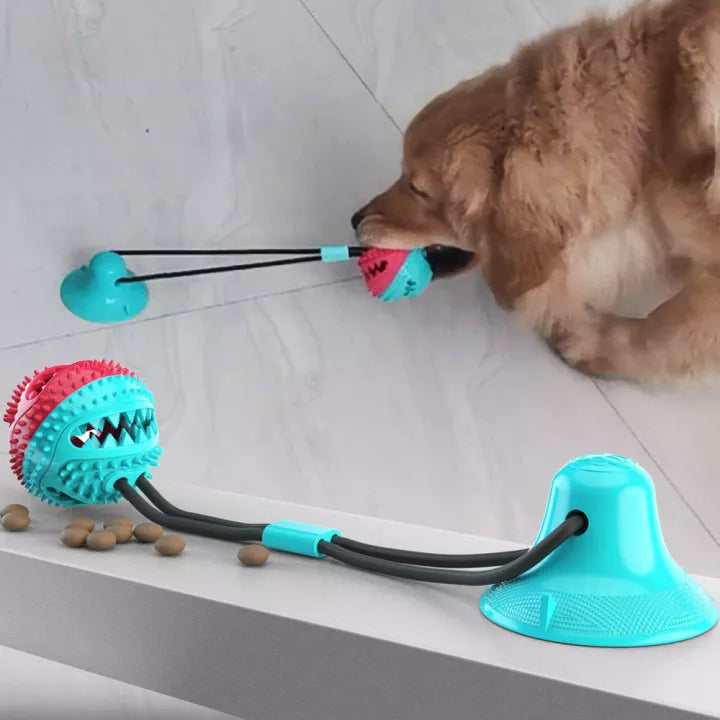 Sturdy Dog Pulling Rope - PlayPaw-Blue + Pink-Nora Luxe