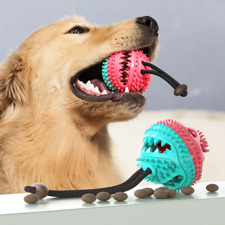 Sturdy Dog Pulling Rope - PlayPaw-Blue + Pink-Nora Luxe