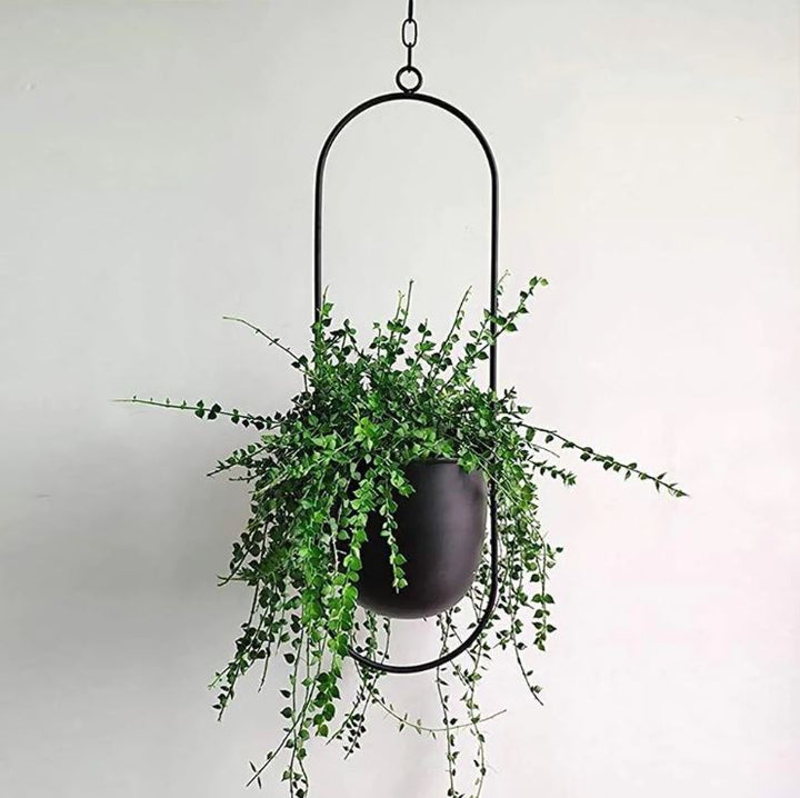 Stylish Indoor and Outdoor Plant Hanger - LeafLuxe-Oval-Black-Nora Luxe