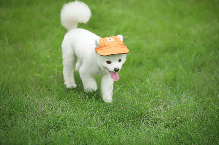 Stylish Round Edge Dog Cap - SunnyPaws-Stripe-S-Nora Luxe