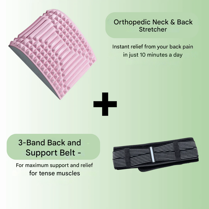 Support and Steering Belt - TripleSupport-Nora Luxe