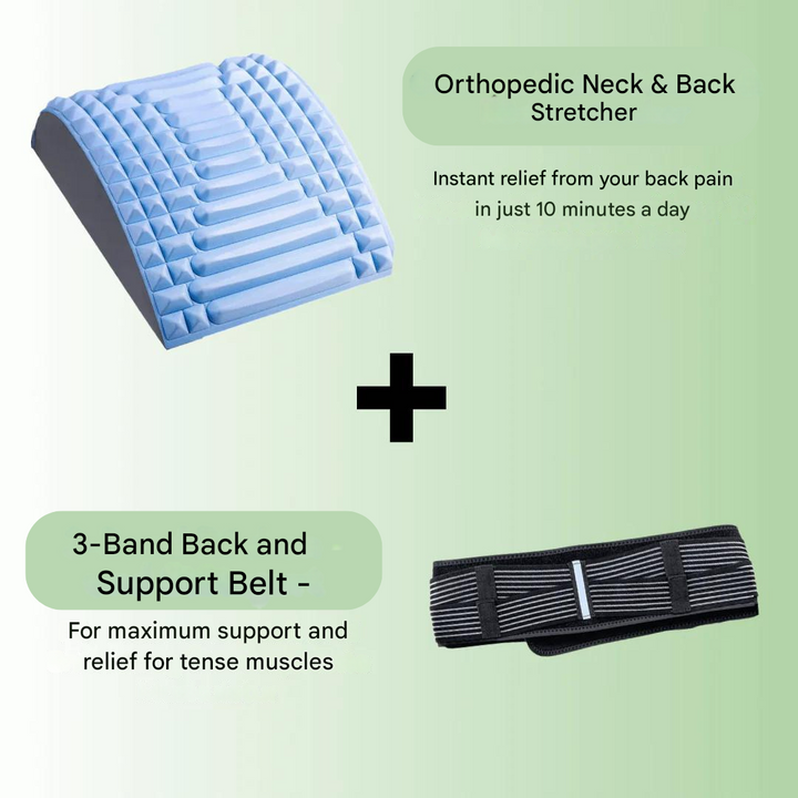Support and Steering Belt - TripleSupport-Nora Luxe