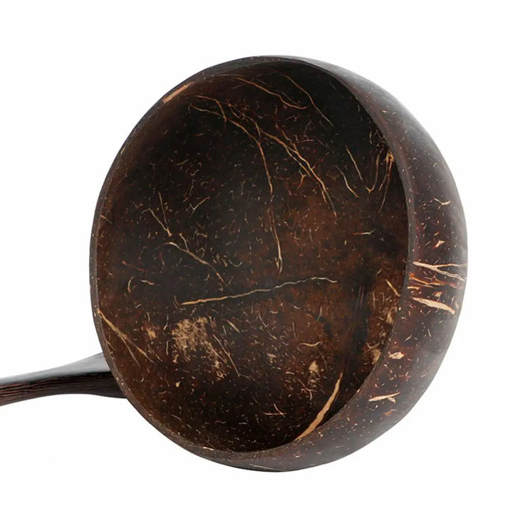 Sustainable Food Containers made from Coconut Shell - TropiBowl-Nora Luxe