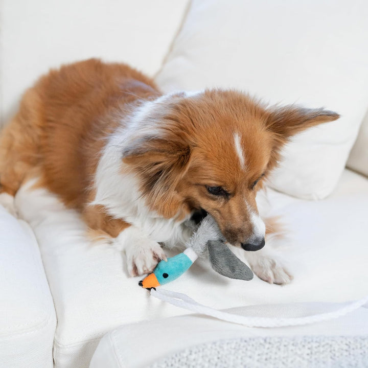 Tail Teaser Dog Play Stick - Perfect for Play and Exercise!-Nora Luxe
