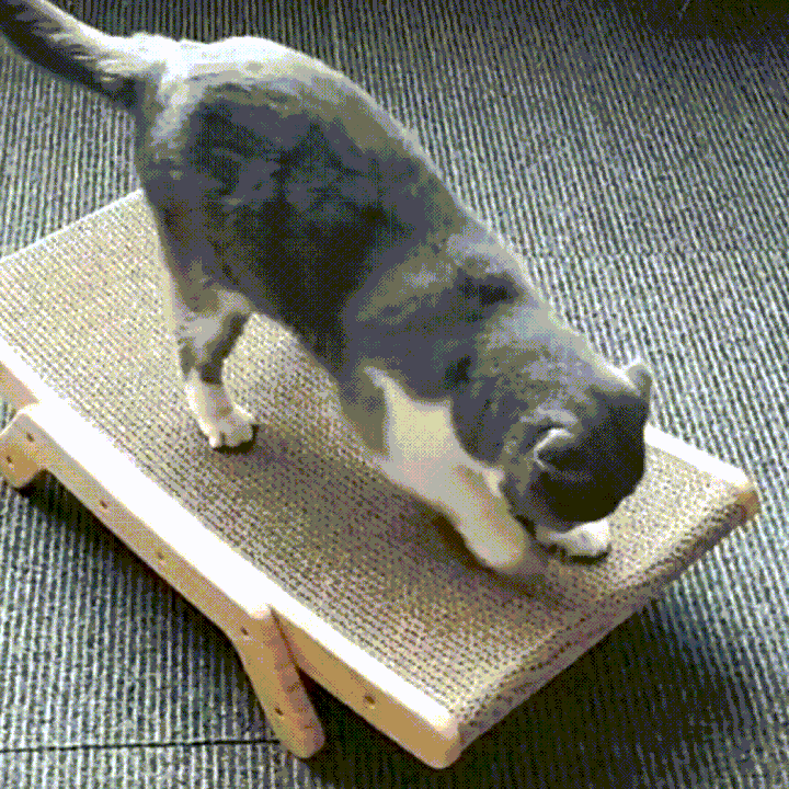 The 3-in-1 Cat Scratching Post and Lounger - ClawLounge™-Nora Luxe