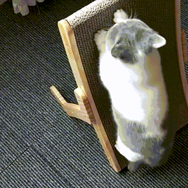 The 3-in-1 Cat Scratching Post and Lounger - ClawLounge™-Nora Luxe