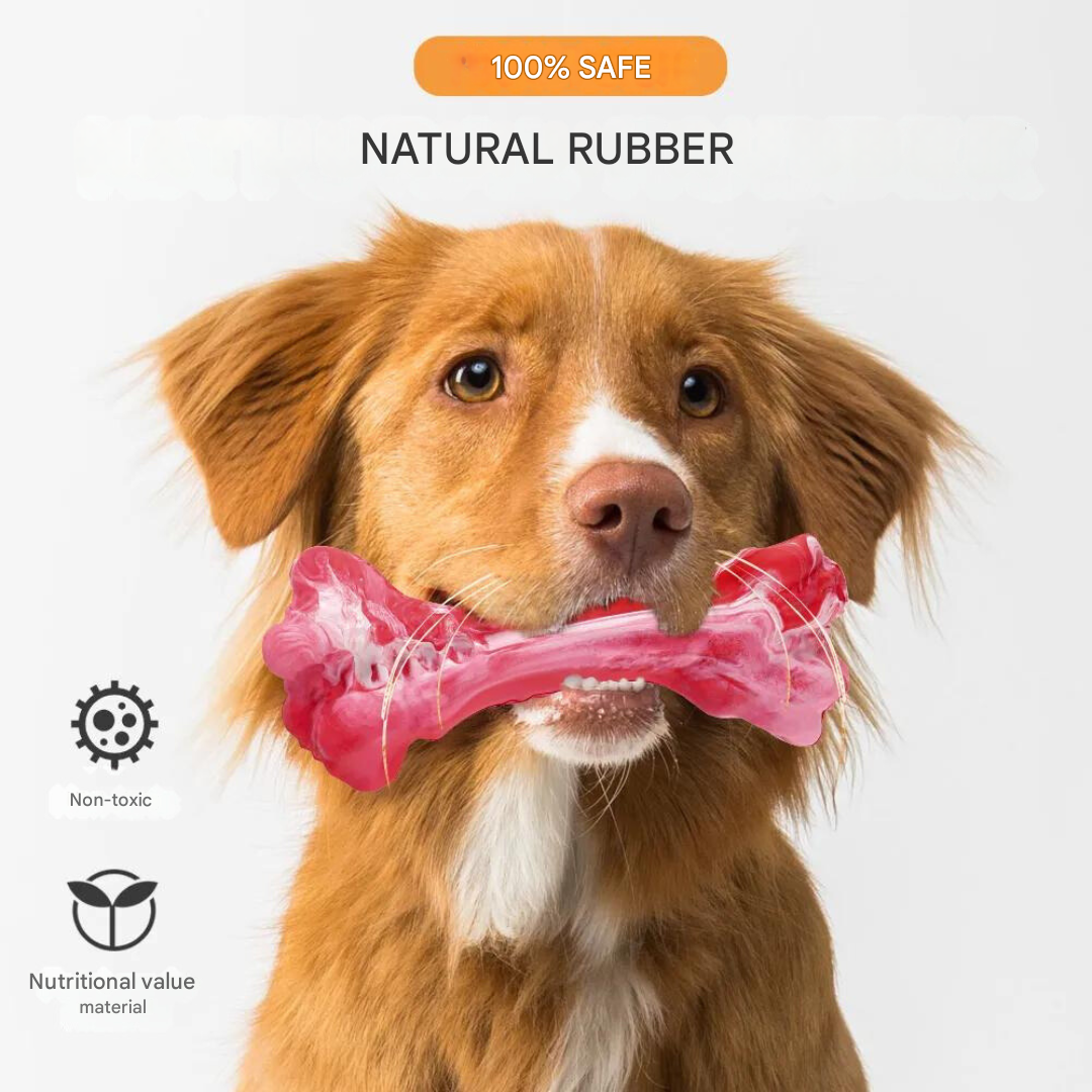 The Playful Dog Dentist - BuddyChew-S-Nora Luxe