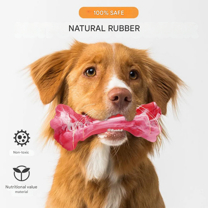 The Playful Dog Dentist - BuddyChew-S-Nora Luxe