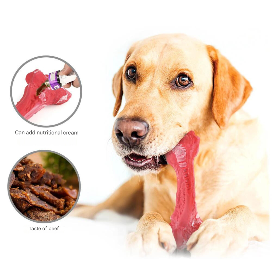 The Playful Dog Dentist - BuddyChew-S-Nora Luxe