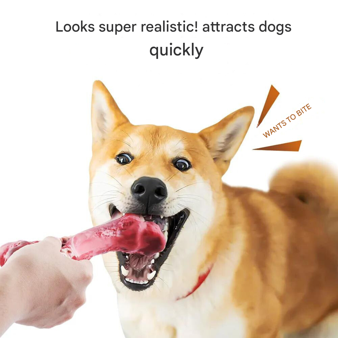 The Playful Dog Dentist - BuddyChew-S-Nora Luxe