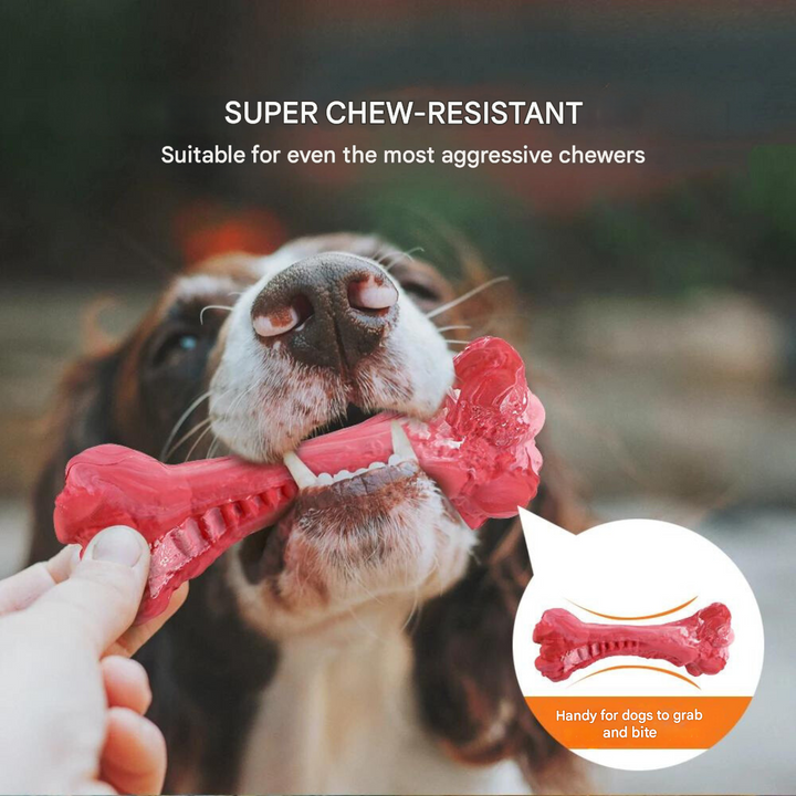 The Playful Dog Dentist - BuddyChew-S-Nora Luxe