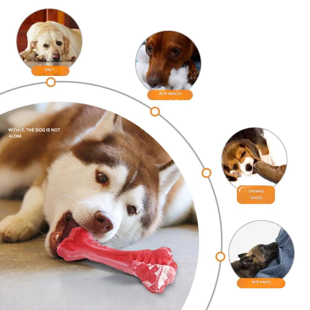 The Playful Dog Dentist - BuddyChew-S-Nora Luxe