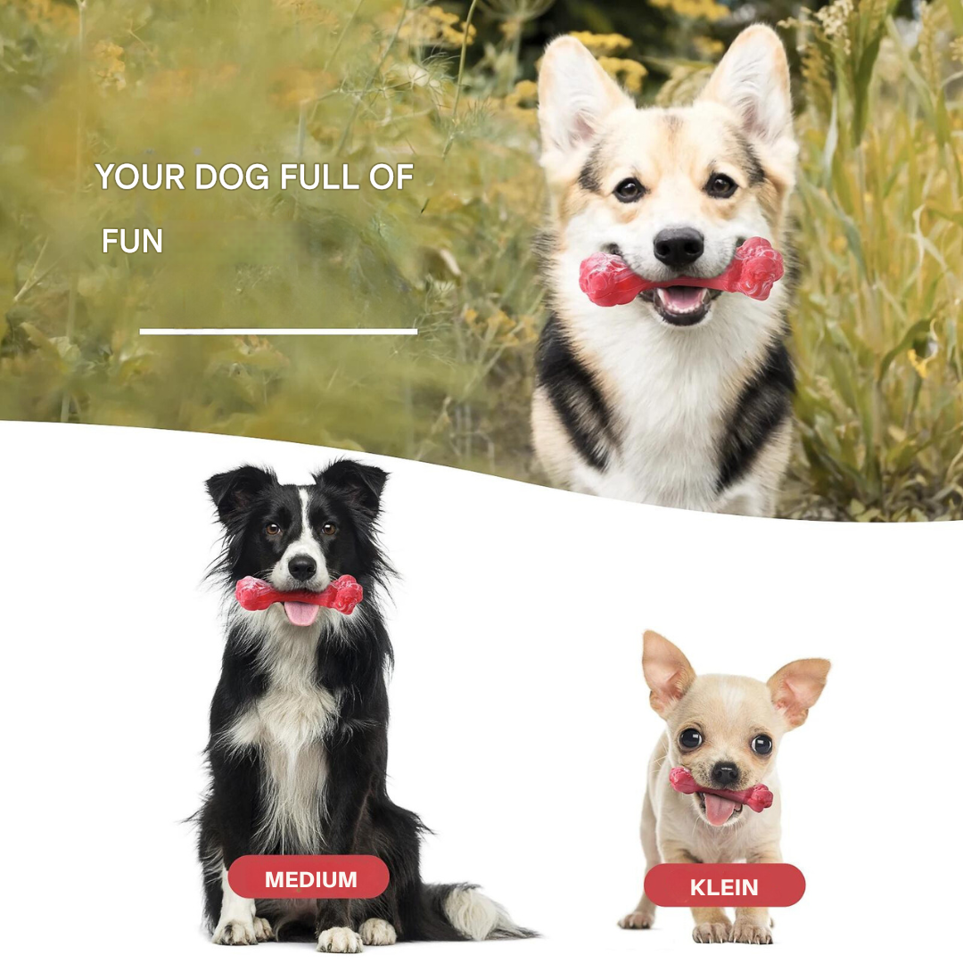 The Playful Dog Dentist - BuddyChew-S-Nora Luxe