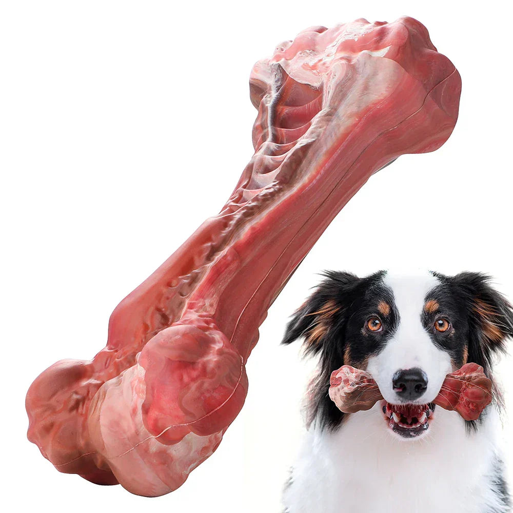 The Playful Dog Dentist - BuddyChew-S-Nora Luxe