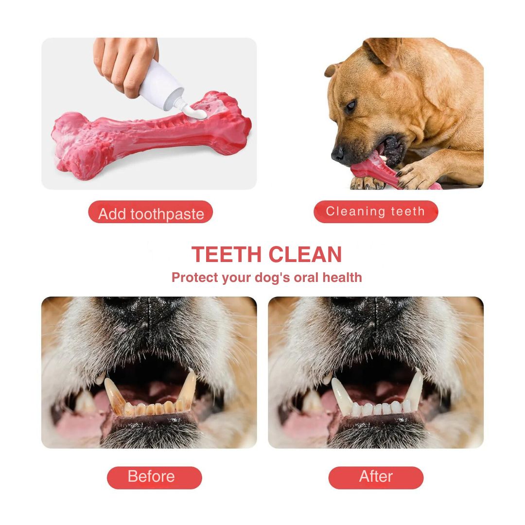 The Playful Dog Dentist - BuddyChew-S-Nora Luxe