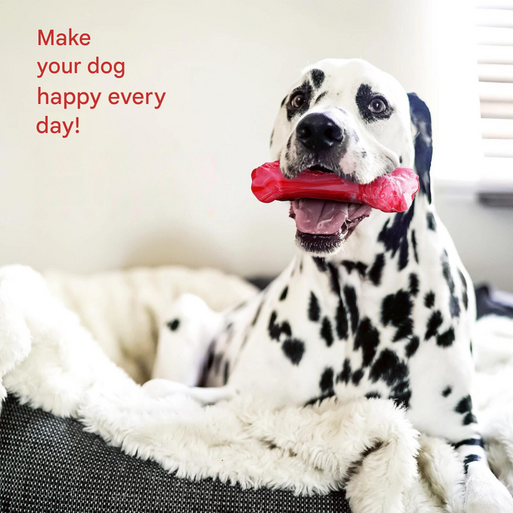 The Playful Dog Dentist - BuddyChew-S-Nora Luxe