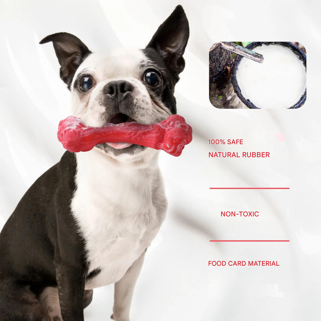 The Playful Dog Dentist - BuddyChew-S-Nora Luxe
