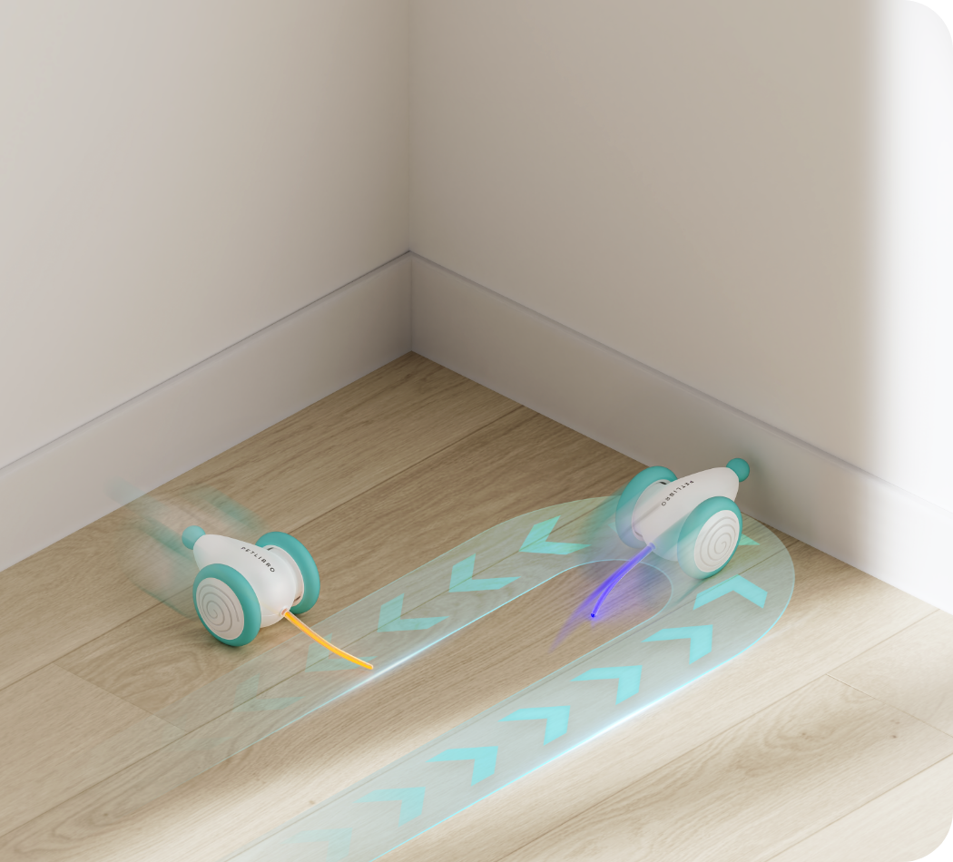 The Ultimate Chew-Resistant Cat Toy - WhiskerPlay-Blue-Nora Luxe