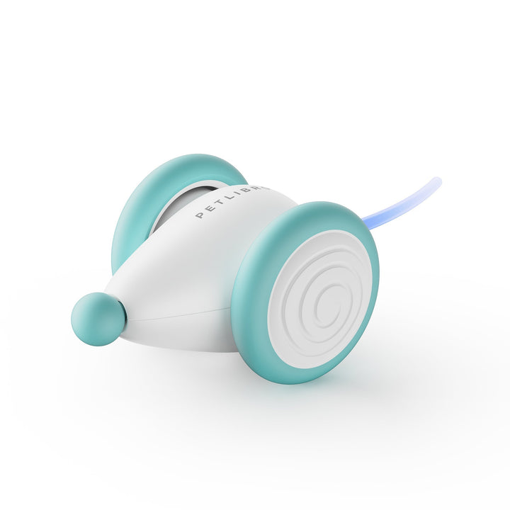 The Ultimate Chew-Resistant Cat Toy - WhiskerPlay-Blue-Nora Luxe