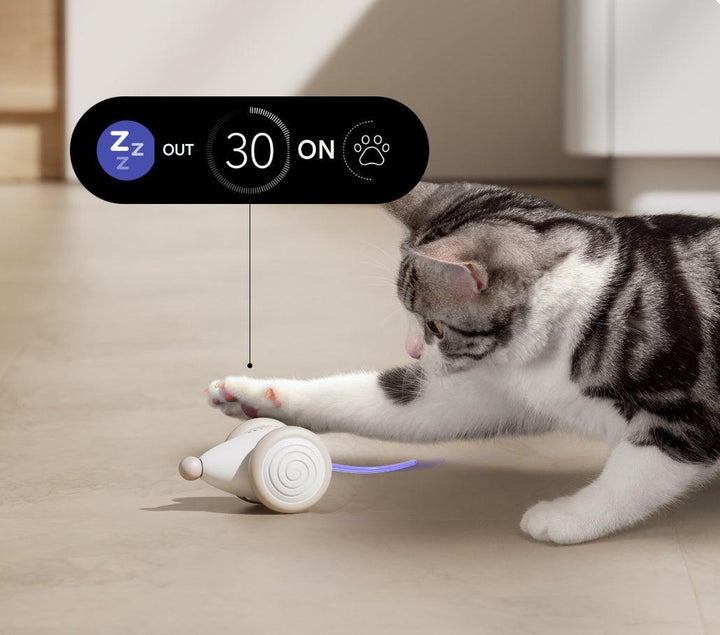 The Ultimate Chew-Resistant Cat Toy - WhiskerPlay-Blue-Nora Luxe