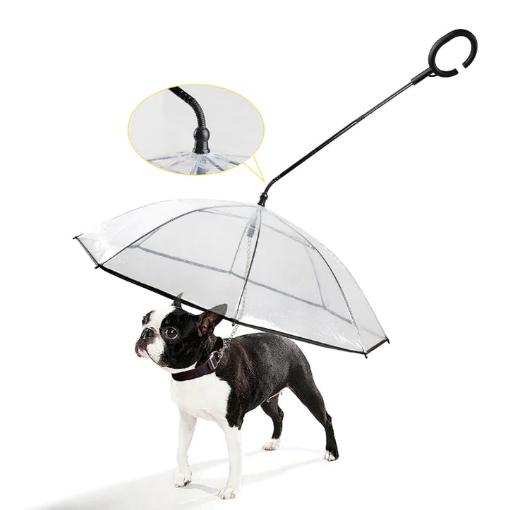 Transparent Dog Umbrella - ClearShield-Nora Luxe
