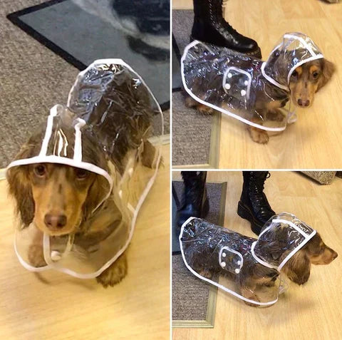 Transparent Waterproof Raincoat for Dogs - DryPaw-White-XS-Nora Luxe