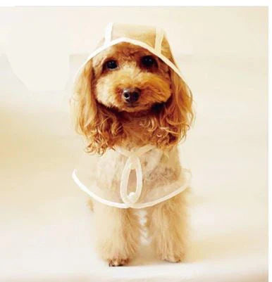 Transparent Waterproof Raincoat for Dogs - DryPaw-White-XS-Nora Luxe