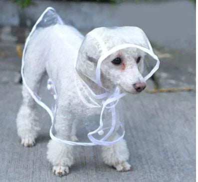 Transparent Waterproof Raincoat for Dogs - DryPaw-White-XS-Nora Luxe