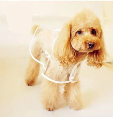 Transparent Waterproof Raincoat for Dogs - DryPaw-White-XS-Nora Luxe