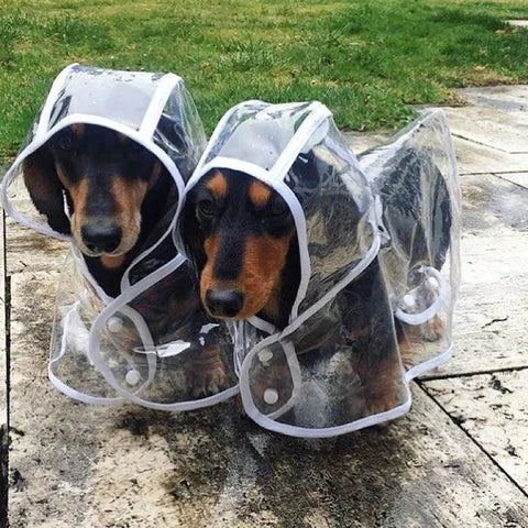 Transparent Waterproof Raincoat for Dogs - DryPaw-White-XS-Nora Luxe