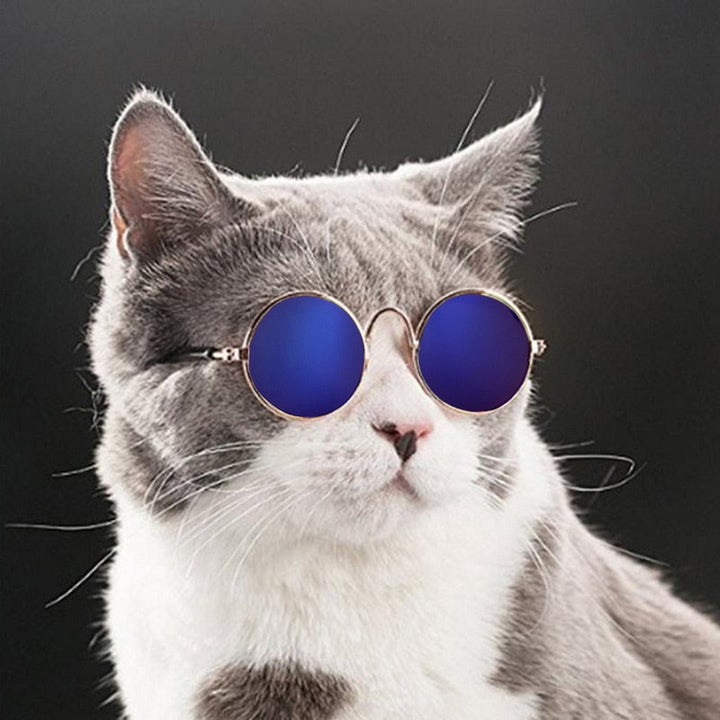 Trendy Cat Sunglasses - KittyShades-Black-Nora Luxe