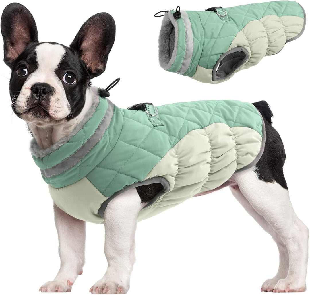 Warm Dog Winter Jacket with Built-in Harness-Mint Green-XS-Nora Luxe