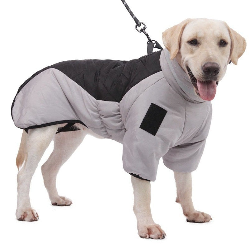 Waterproof Dog Coat - WeatherPaws-Gray-Orange-XL-Nora Luxe