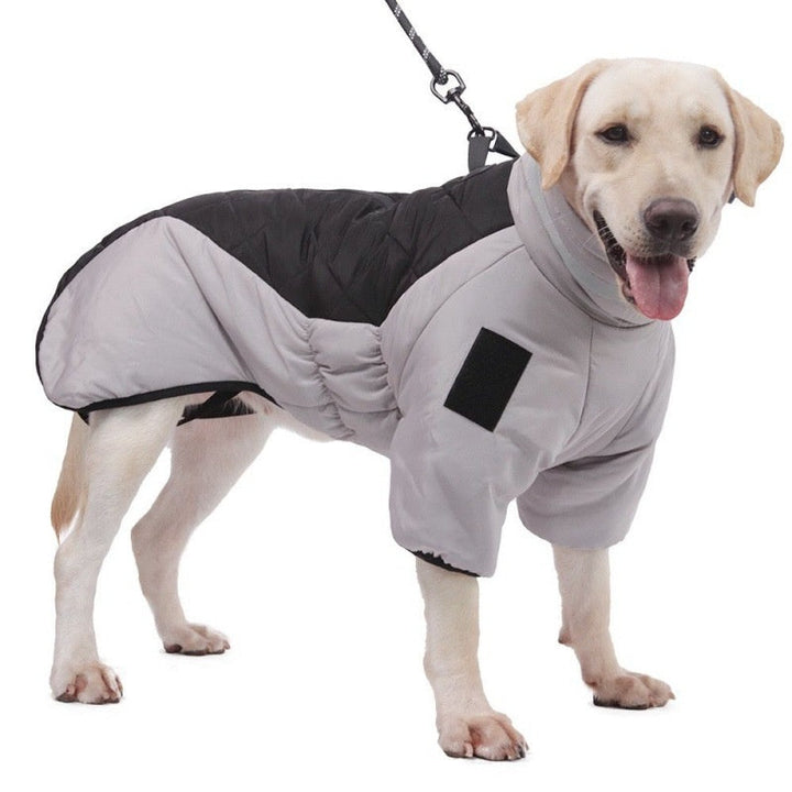 Waterproof Dog Coat - WeatherPaws-Gray-Orange-XL-Nora Luxe