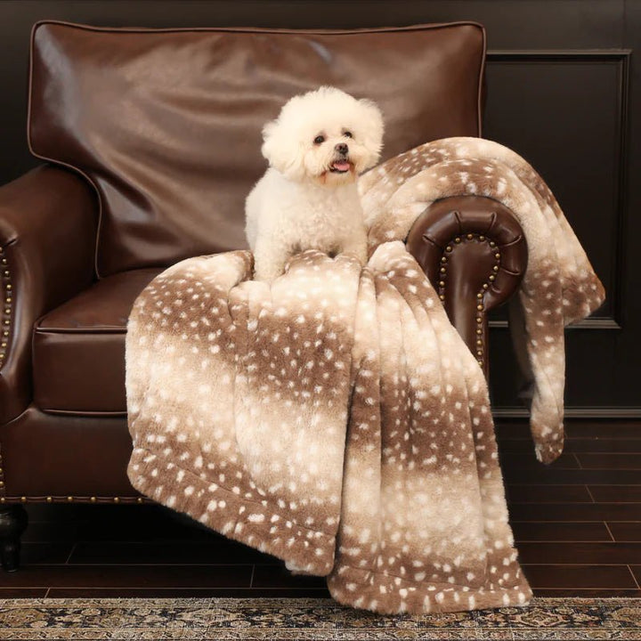 Small fluffy white dog sitting on the spotted throw draped over a brown leather armchair.